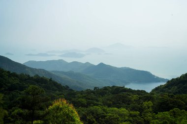 Hong Kong 'da Doğa ile çevrili Majestic Buddha Tapınağı