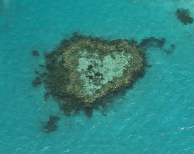 Heart Reef: Avustralya 'nın Büyük Bariyeri R' de Kalp Şekli Mucize