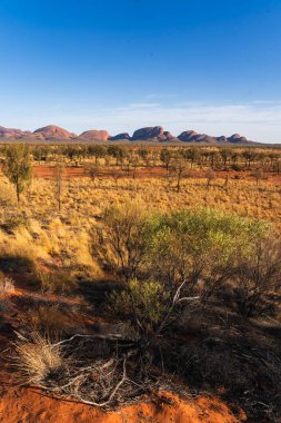 Majestic Kata Tjuta Kaya oluşumlarını keşfediyor