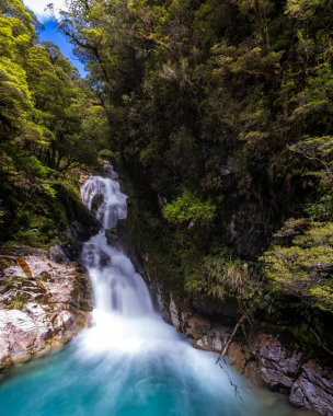 Güney Yeni Zelanda Ormanı 'ndaki Şelaleleri ve fiyortları Keşfediyor