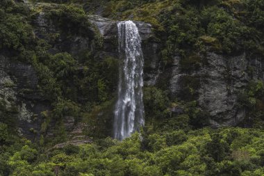 Güney Yeni Zelanda Ormanı 'ndaki Şelaleleri ve fiyortları Keşfediyor