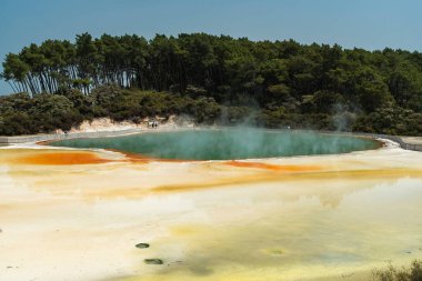 Kuzey Yeni Zelanda 'da Wai-O-Tapu' nun Jeotermal Harikaları