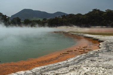 Kuzey Yeni Zelanda 'da Wai-O-Tapu' nun Jeotermal Harikaları