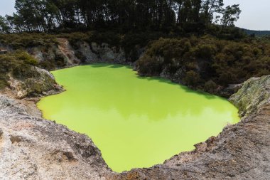 Kuzey Yeni Zelanda 'da Wai-O-Tapu' nun Jeotermal Harikaları
