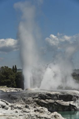 Rotorua Yeni Zelanda 'da Görkemli Gayzer Patlamaları