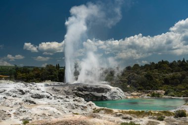 Rotorua Yeni Zelanda 'da Görkemli Gayzer Patlamaları