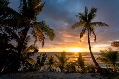 Fiji Adaları üzerinde Altın Gün Batımı Ufku