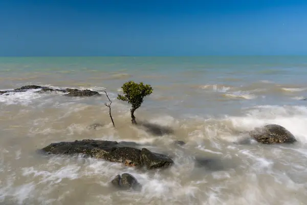 Avustralya 'nın çeşitli kıyı manzaralarını araştırmak