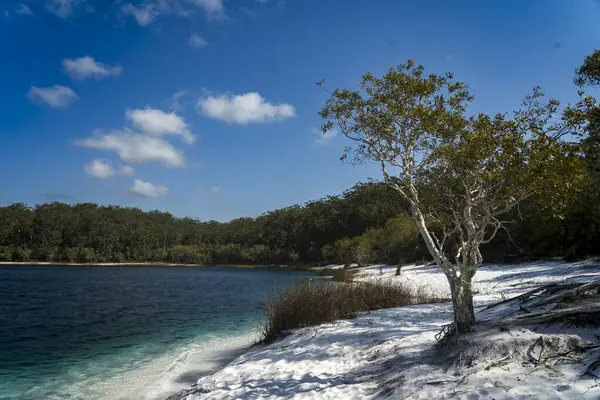McKenzie Gölü 'nün keşfi: Fraser Adası' nda Doğal Mücevher