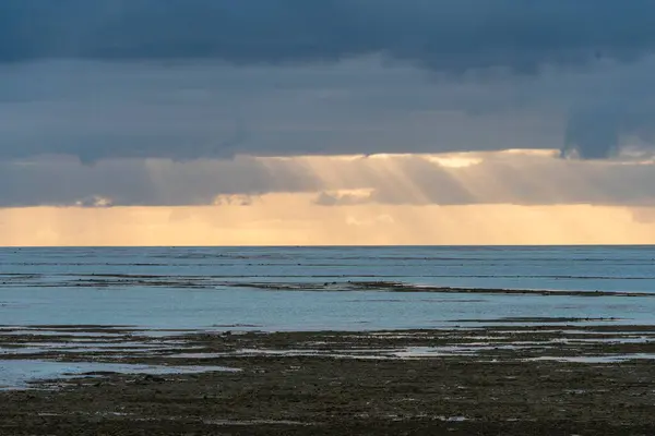 Heart Reef: Avustralya 'nın Büyük Bariyeri R' de Kalp Şekli Mucize