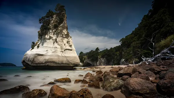 Yeni Zelanda 'nın Kıyı Titreşimleri ve Manzaraları