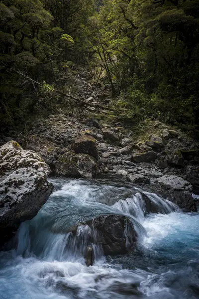 Güney Yeni Zelanda Ormanı 'ndaki Şelaleleri ve fiyortları Keşfediyor