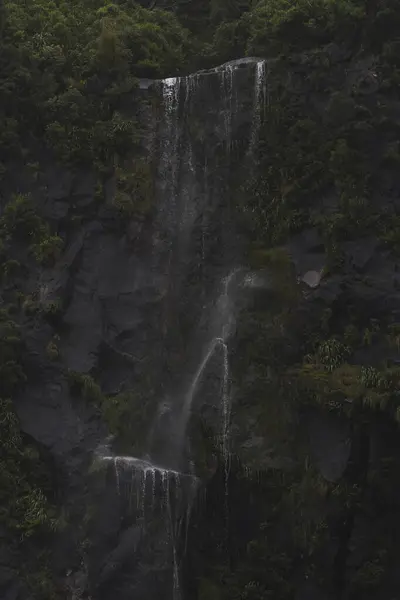 Güney Yeni Zelanda Ormanı 'ndaki Şelaleleri ve fiyortları Keşfediyor