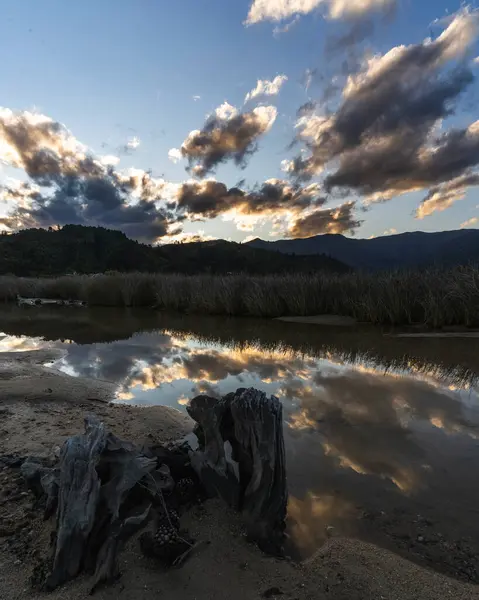 Yeni Zelanda Akşamları Altın Işık Düşüyor