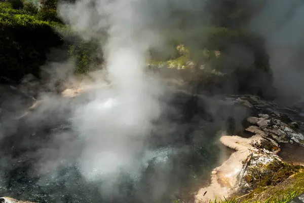 Kuzey Yeni Zelanda 'da Wai-O-Tapu' nun Jeotermal Harikaları