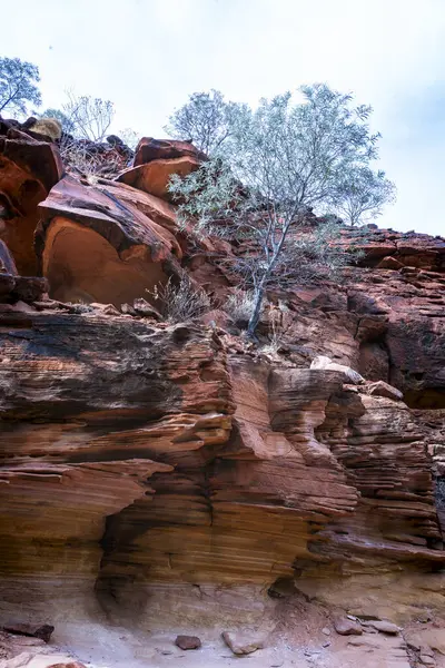 Avustralya Kırmızı Merkezi 'nde Kralların Harikaları Kanyonu' nu keşfediyor.