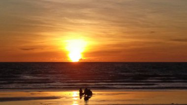 Siluetli figürler sahilde nefes kesici altın bir günbatımının tadını çıkarırlar. Sıcak renkler ve sakin okyanus dalgaları büyülü bir sahne yaratır..