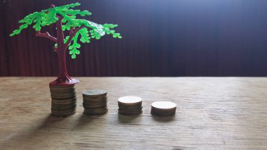 Madeni para yığınları üzerindeki minyatür ağaç maddi büyüme ve yatırımı simgeliyor.