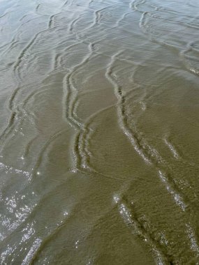 Bir plajın ıslak kumlarında, güneş ışığını yansıtan sıvı desenler oluşturan, doğayla bir bağ ve dinginlik hissi uyandıran, karmaşık desenler yakalayan bir görüntü..