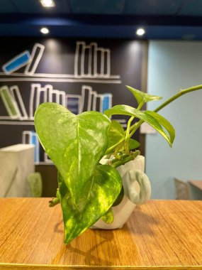 Beyaz bir tencerede parlak yeşil yaprakları olan, ahşap bir masanın üzerine yerleştirilmiş güzel bir çiçek. Arka planda, rahat ve ilham verici bir çalışma ortamı yaratan stilize bir kitaplık var..