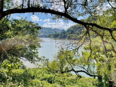 Dalgalanan ağaçlarla ve beyaz bulutlarla benekli mavi gökyüzüyle donatılmış yemyeşil bitki örtüsüyle çevrili sakin bir gölet manzarası. Güneşin parıltısı sakin sudan yansıyarak doğada huzur ve sükunet ortamı yaratır..
