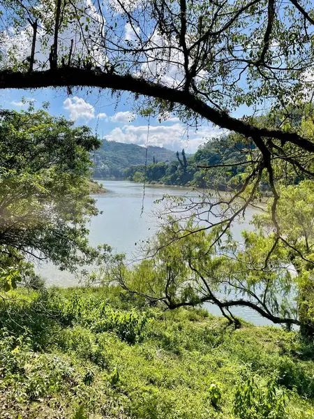 Bereketli yeşil ve yapraklı ağaçlarla çevrili sakin bir gölün çarpıcı görüntüsü, mavi ve bulutlu bir gökyüzünün altında, sakin ve huzurlu doğal bir ortamda..