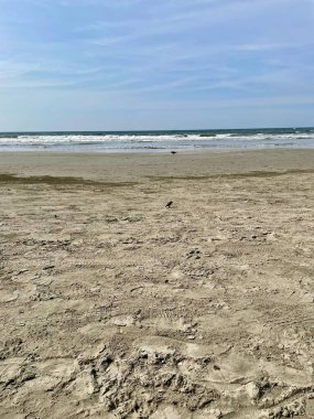 Hafif kum ve ayak izleriyle sakin bir sahil manzarası. Gökyüzü berrak bir mavidir ve dalgalar yavaşça kıyıdan kopar. Rahatlatıcı ve nostaljik bir atmosfer yaratır..