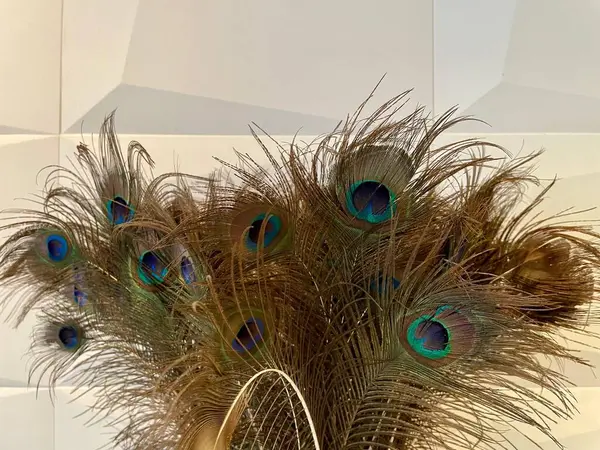 Tavus kuşu tüylerinden oluşan güzel bir düzenleme, canlı renkler ve abartılı desenler sergiliyor, büyüleyici bir şekilde ışığı yakalıyor. Yanardöner detaylar ve göz benekleri modern, minimalist bir geçmişe karşı zarif bir şekilde sergileniyor.