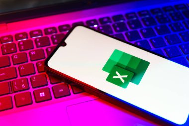 Prag, Çek Cumhuriyeti - 21 Ekim 2024: Microsoft Excel logosunu gösteren modern akıllı telefon aygıtı.
