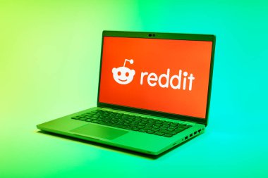 Prag, Çek Cumhuriyeti - 21 Ekim 2024: Reddit logosunu gösteren modern dizüstü bilgisayar ekranı