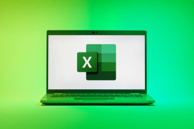 Prag, Çek Cumhuriyeti - 21 Ekim 2024: Microsoft Excel logosunu gösteren modern bilgisayar ekranı