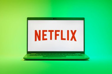 Prag, Çek Cumhuriyeti - 21 Ekim 2024: Nerflix logosunu gösteren modern dizüstü bilgisayar ekranı