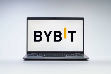 Prag, Çek Cumhuriyeti - 21 Ekim 2024: Yüzey arkaplanındaki modern laptop ekranı baybit logosunu gösteriyor