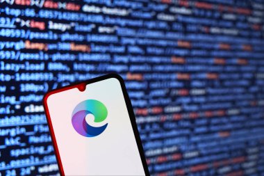 Prag, Çek Cumhuriyeti - 10 21 2024: Sınırın logosunu gösteren akıllı telefon.