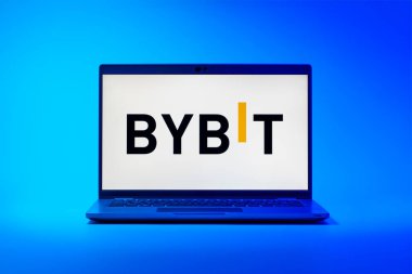 Prag, Çek Cumhuriyeti - 21 Ekim 2024: Yüzey arkaplanındaki modern laptop ekranı baybit logosunu gösteriyor