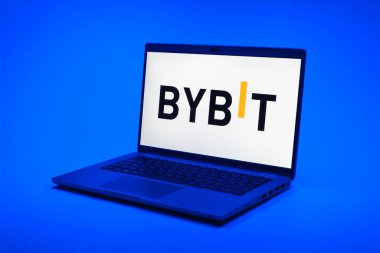 Prag, Çek Cumhuriyeti - 21 Ekim 2024: Yüzey arkaplanındaki modern laptop ekranı baybit logosunu gösteriyor