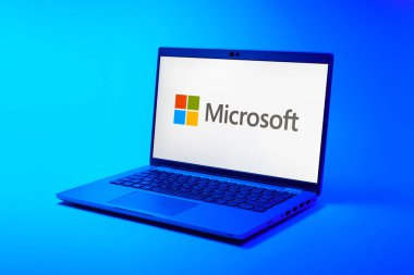 Prag, Çek Cumhuriyeti - 21 Ekim 2024: Logoyu gösteren modern dizüstü bilgisayar ekranı