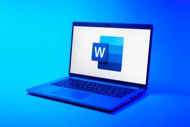 Prag, Çek Cumhuriyeti - 21 Ekim 2024: Logoyu gösteren modern dizüstü bilgisayar ekranı