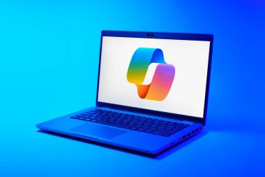 Prag, Çek Cumhuriyeti - 21 Ekim 2024: Logoyu gösteren modern dizüstü bilgisayar ekranı