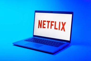 Prag, Çek Cumhuriyeti - 21 Ekim 2024: Logoyu gösteren modern dizüstü bilgisayar ekranı