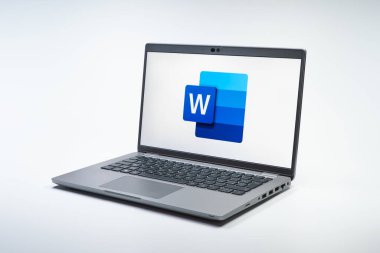 Prag, Çek Cumhuriyeti - 21 Ekim 2024: Logoyu gösteren modern dizüstü bilgisayar ekranı