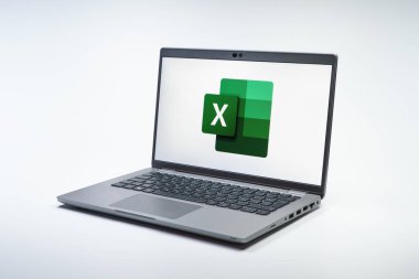 Prag, Çek Cumhuriyeti - 21 Ekim 2024: Logoyu gösteren modern dizüstü bilgisayar ekranı