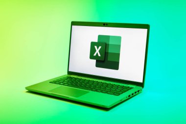 Prag, Çek Cumhuriyeti - 21 Ekim 2024: Logoyu gösteren modern dizüstü bilgisayar ekranı