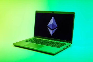 Prag, Çek Cumhuriyeti - 21 Ekim 2024: Logoyu gösteren modern dizüstü bilgisayar ekranı