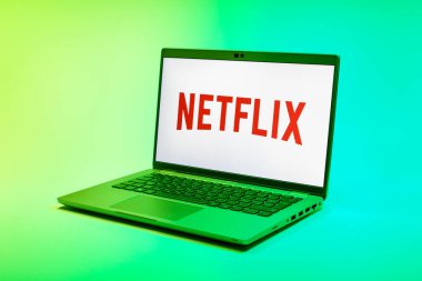 Prag, Çek Cumhuriyeti - 21 Ekim 2024: Logoyu gösteren modern dizüstü bilgisayar ekranı