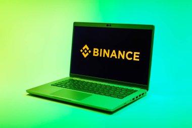 Prag, Çek Cumhuriyeti - 21 Ekim 2024: Logoyu gösteren modern dizüstü bilgisayar ekranı