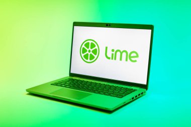 Prag, Çek Cumhuriyeti - 21 Ekim 2024: Logoyu gösteren modern dizüstü bilgisayar ekranı