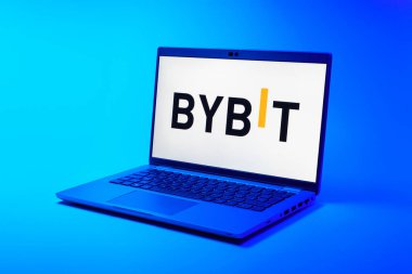 Prag, Çek Cumhuriyeti - 21 Ekim 2024: Yüzey arkaplanındaki modern laptop ekranı baybit logosunu gösteriyor