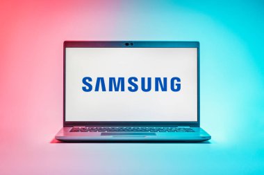 Prag, Çek Cumhuriyeti - 21 Ekim 2024: Samsung logosunu gösteren dizüstü bilgisayar ekranı