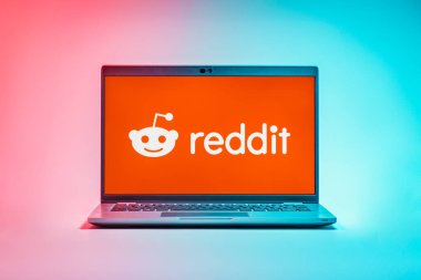 Prag, Çek Cumhuriyeti - 21 Ekim 2024: Reddit logosunu gösteren dizüstü bilgisayar ekranı